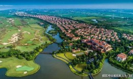 上海崇明岛最新爆料,揭秘上海“绿肺”的生态奇迹